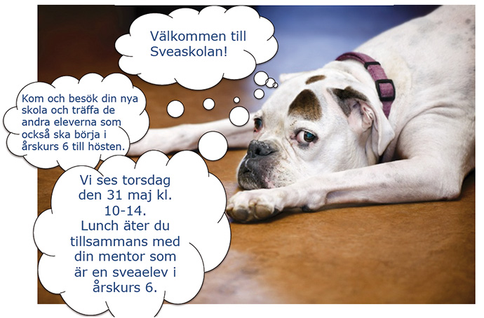 Information till blivande 6:or