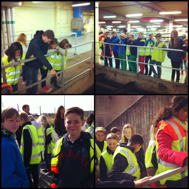 Studiebesök på Reningsverket