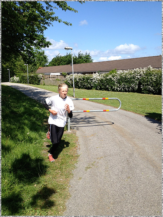 Sveaskolans årliga sveamil